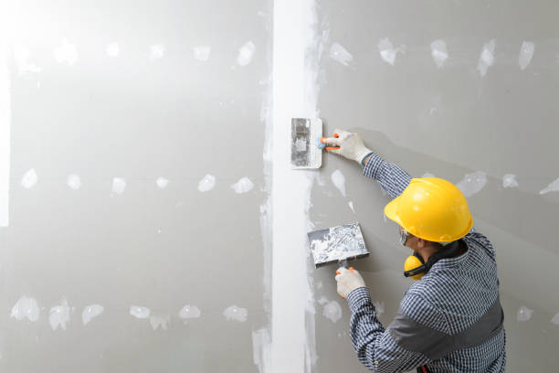 Best Water Damage & Mold Remediation  in Parachute, CO