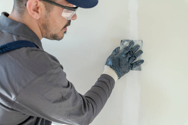 Best Asbestos and Lead Testing During Mold Inspection  in Parachute, CO