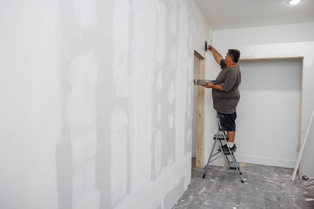 Best Comprehensive Air Testing for Mold Contaminants  in Parachute, CO