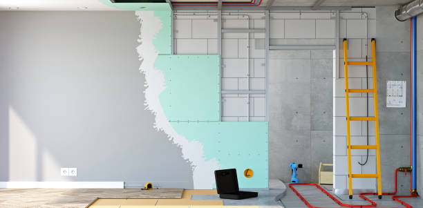 Best Black Mold Removal  in Parachute, CO