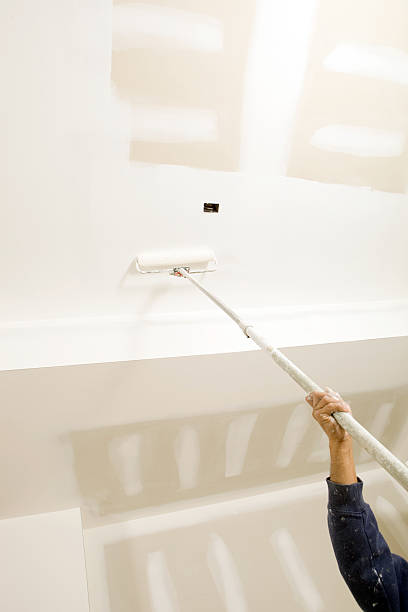 Best Attic Mold Removal  in Parachute, CO
