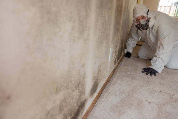 Best Mold Remediation for Vacation Homes  in Parachute, CO